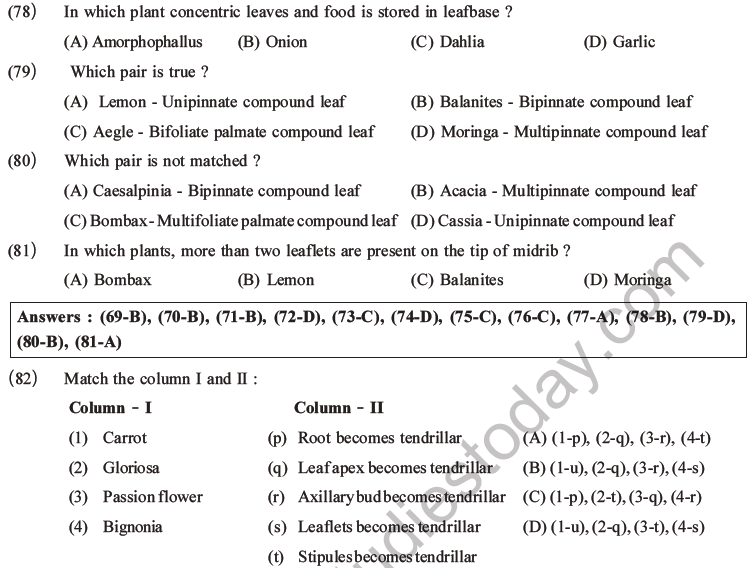 NEET Biology Morphology of Plants MCQs Set A-23