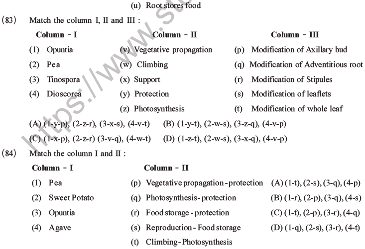 NEET Biology Morphology of Plants MCQs Set A-24
