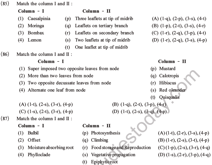 NEET Biology Morphology of Plants MCQs Set A-25