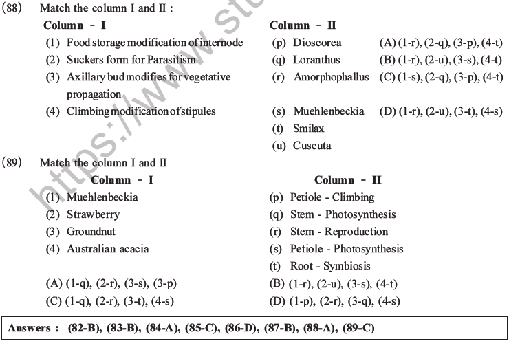 NEET Biology Morphology of Plants MCQs Set A-26