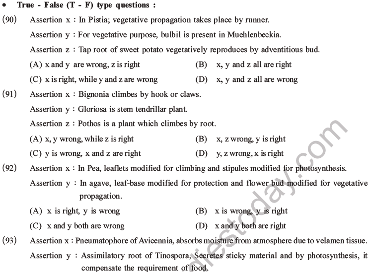 NEET Biology Morphology of Plants MCQs Set A-27