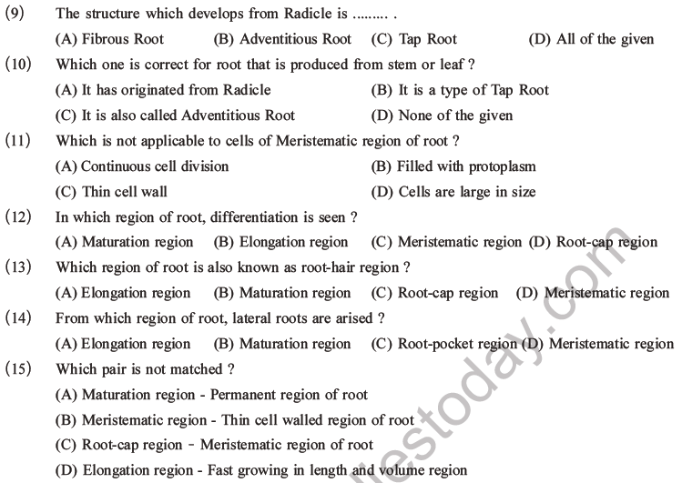 NEET Biology Morphology of Plants MCQs Set A-3