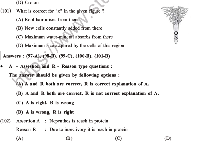 NEET Biology Morphology of Plants MCQs Set A-30