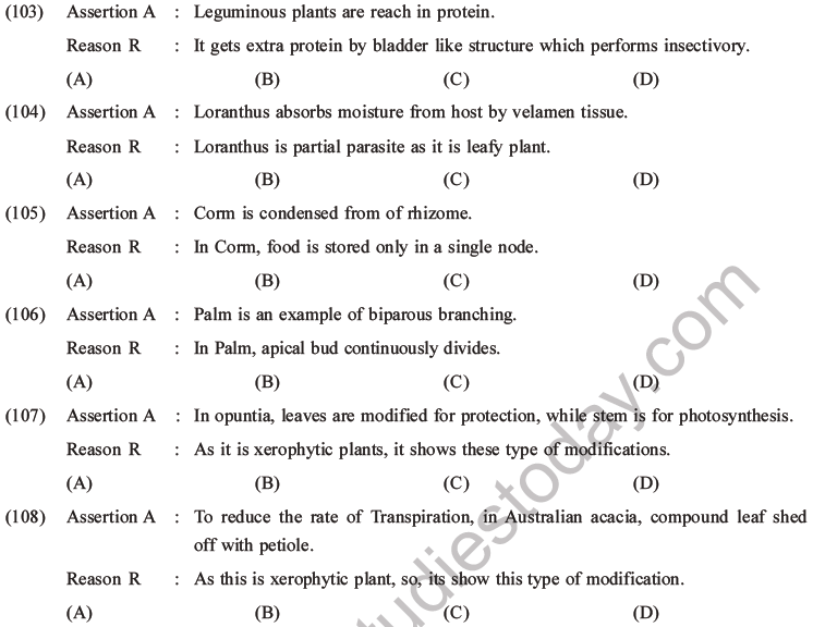 NEET Biology Morphology of Plants MCQs Set A-31