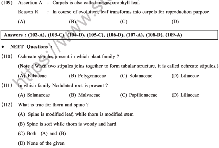 NEET Biology Morphology of Plants MCQs Set A-32