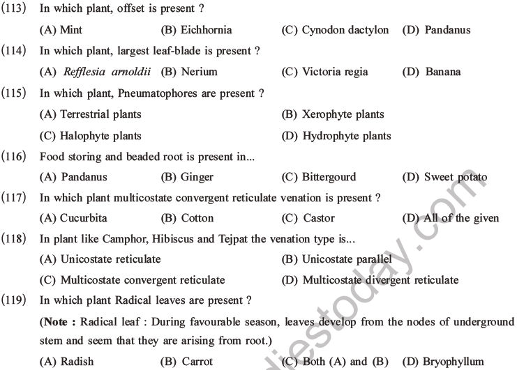 NEET Biology Morphology of Plants MCQs Set A-33