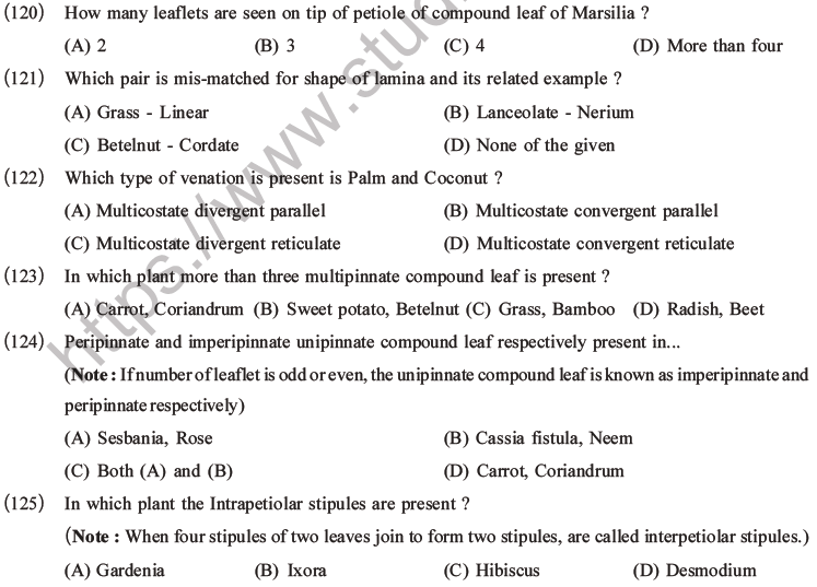 NEET Biology Morphology of Plants MCQs Set A-34