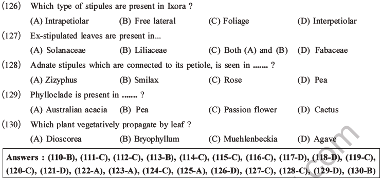 NEET Biology Morphology of Plants MCQs Set A-35