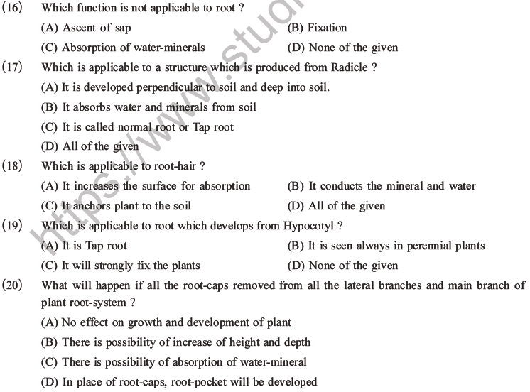 NEET Biology Morphology of Plants MCQs Set A-4