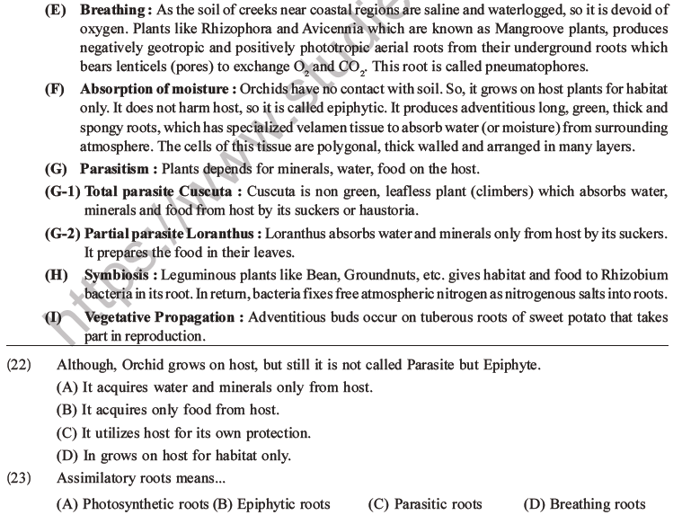 NEET Biology Morphology of Plants MCQs Set A-6