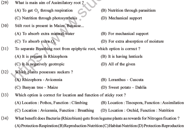 NEET Biology Morphology of Plants MCQs Set A-8