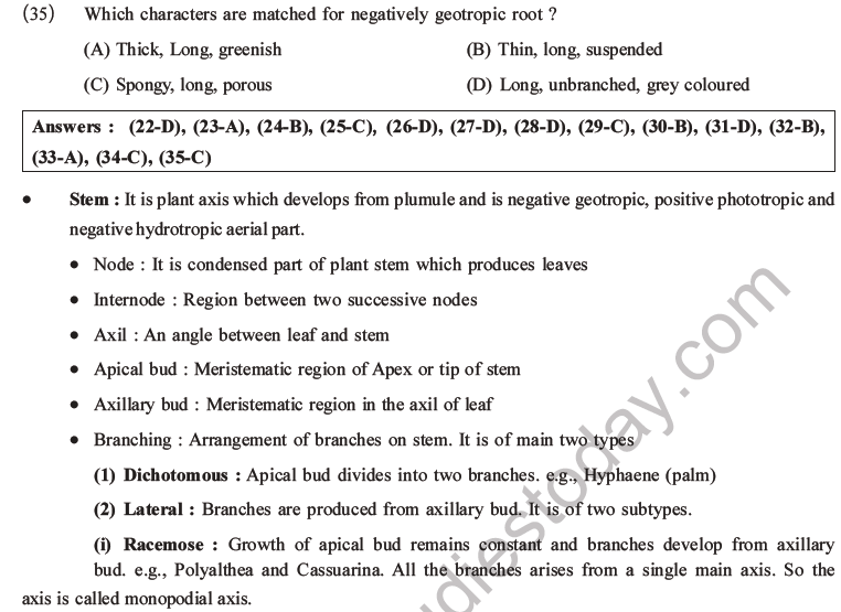 NEET Biology Morphology of Plants MCQs Set A-9