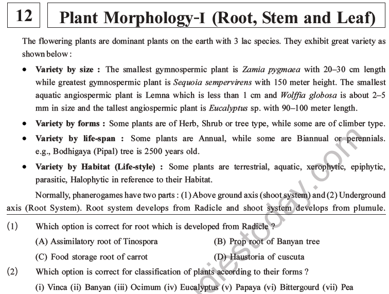 NEET Biology Morphology of Plants MCQs Set A