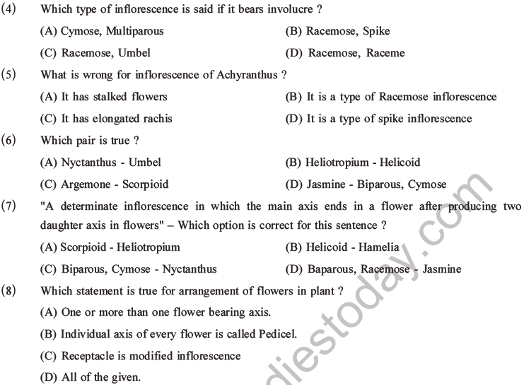 NEET Biology Morphology of Plants MCQs Set B-1