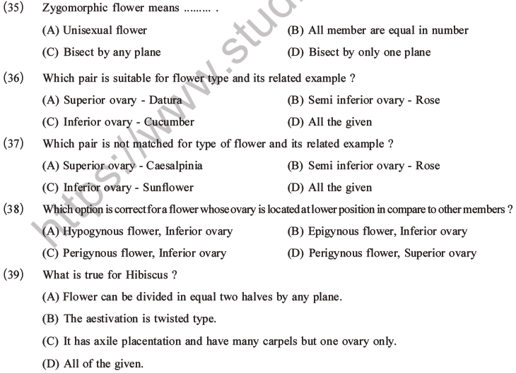 NEET Biology Morphology of Plants MCQs Set B-10