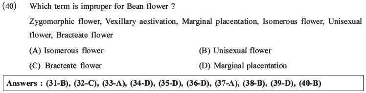 NEET Biology Morphology of Plants MCQs Set B-11