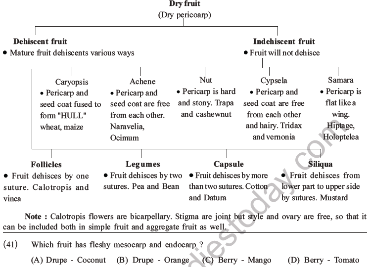 NEET Biology Morphology of Plants MCQs Set B-14