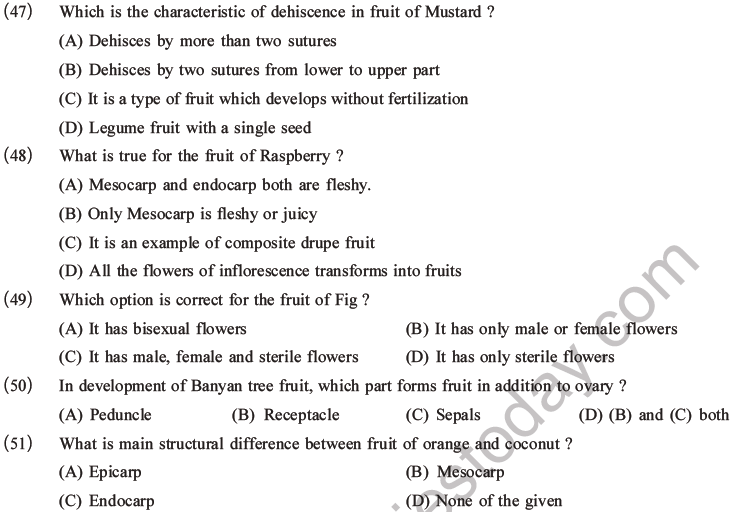 NEET Biology Morphology of Plants MCQs Set B-16