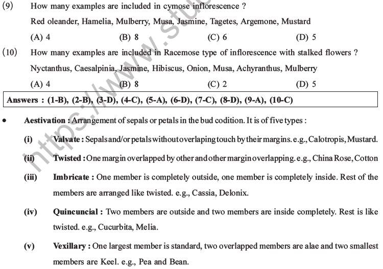 NEET Biology Morphology of Plants MCQs Set B-2