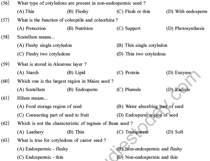 NEET Biology Morphology of Plants MCQs Set B-20