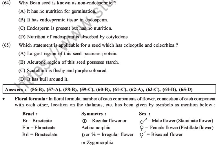 NEET Biology Morphology of Plants MCQs Set B-21