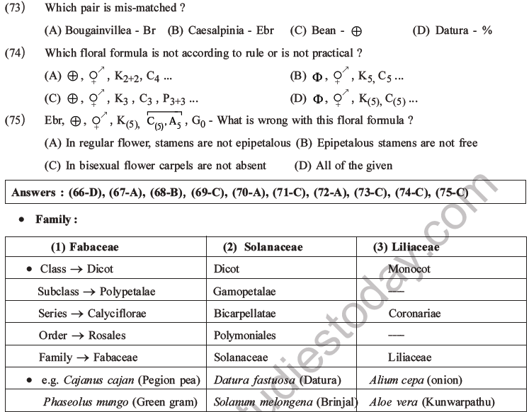 NEET Biology Morphology of Plants MCQs Set B-24