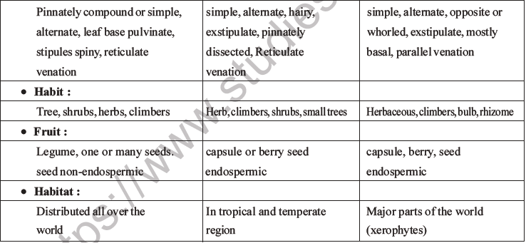 NEET Biology Morphology of Plants MCQs Set B-27
