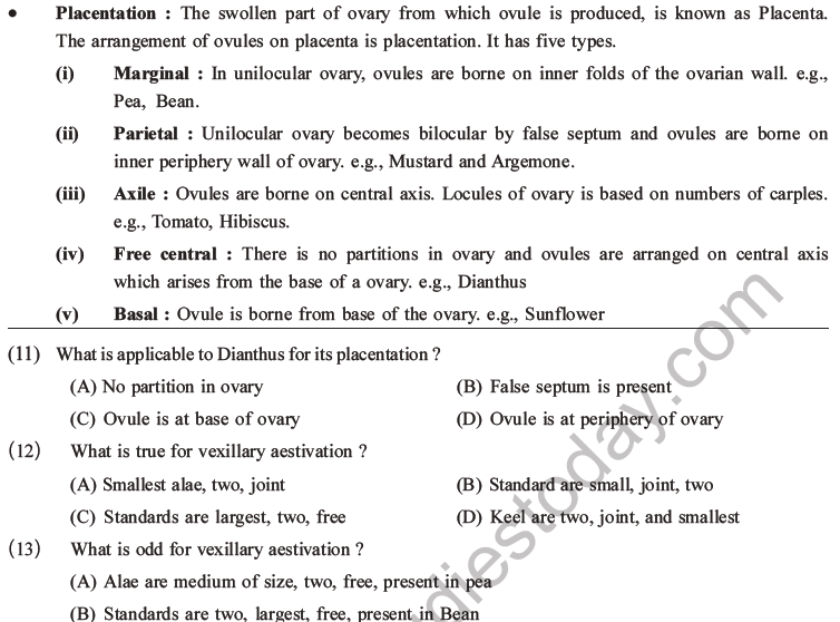 NEET Biology Morphology of Plants MCQs Set B-3