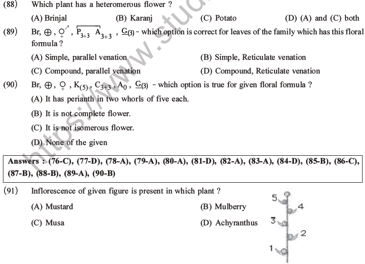 NEET Biology Morphology of Plants MCQs Set B-30