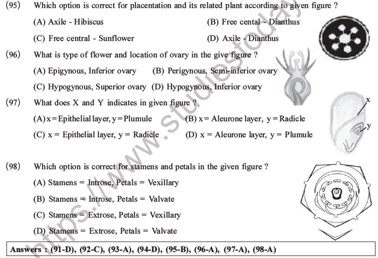 NEET Biology Morphology of Plants MCQs Set B-32
