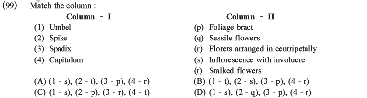 NEET Biology Morphology of Plants MCQs Set B-33