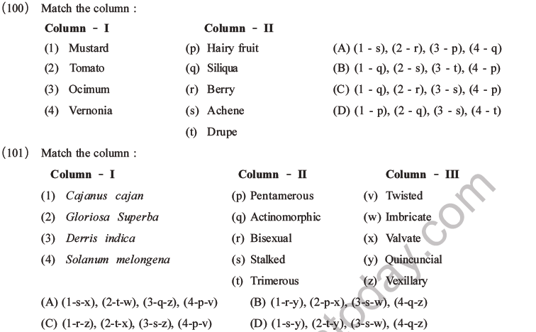 NEET Biology Morphology of Plants MCQs Set B-34