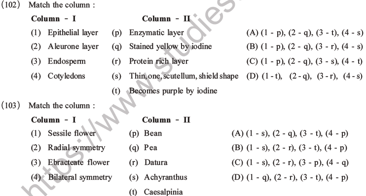 NEET Biology Morphology of Plants MCQs Set B-35