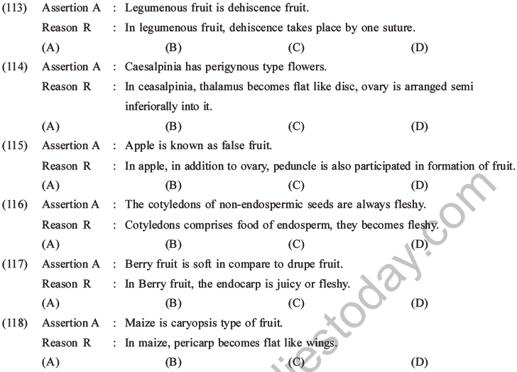 NEET Biology Morphology of Plants MCQs Set B-39