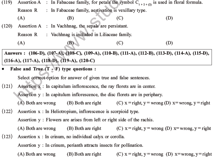 NEET Biology Morphology of Plants MCQs Set B-40