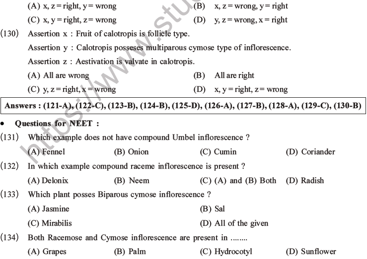 NEET Biology Morphology of Plants MCQs Set B-42