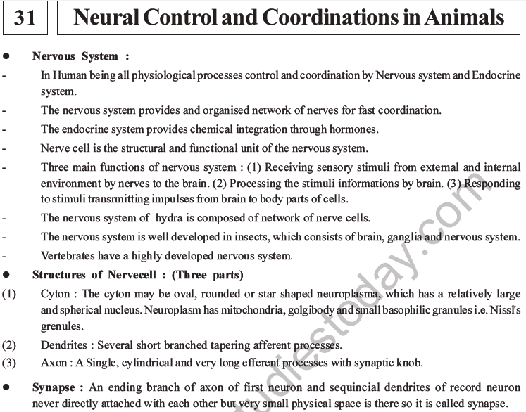 NEET Biology Morphology of Plants MCQs Set B-44