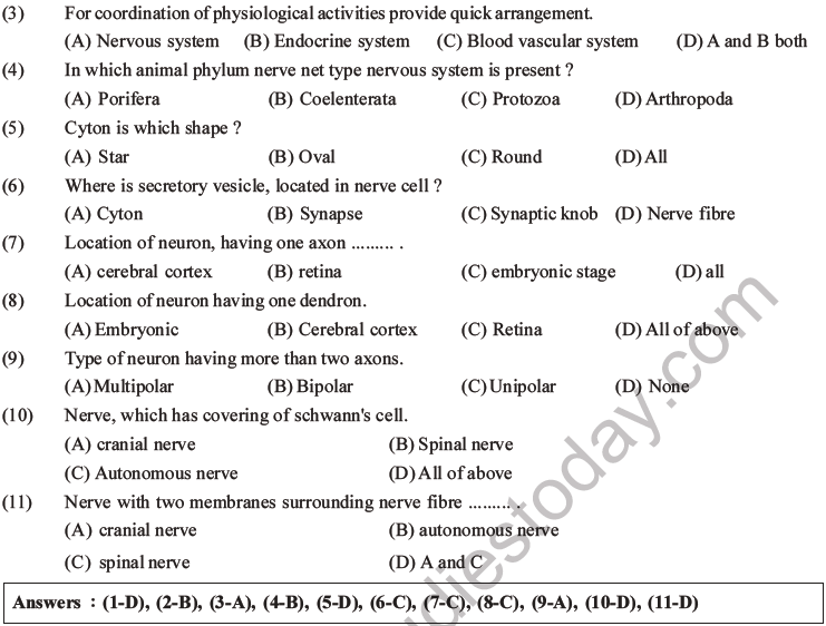 NEET Biology Morphology of Plants MCQs Set B-46