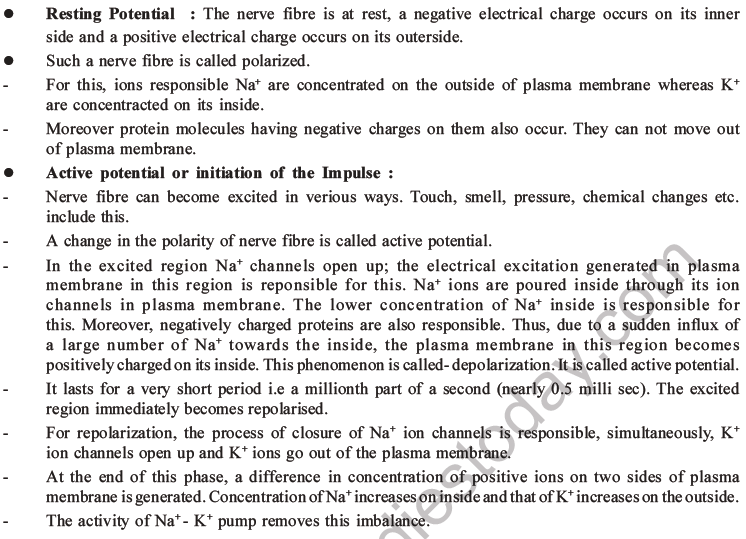 NEET Biology Morphology of Plants MCQs Set B-48