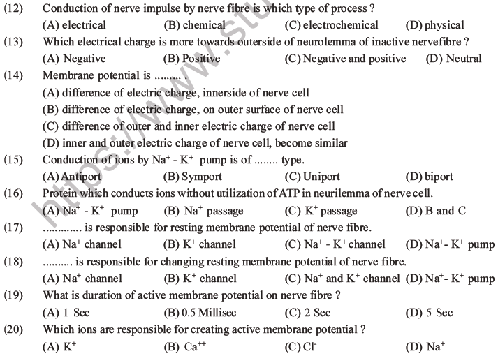 NEET Biology Morphology of Plants MCQs Set B-49