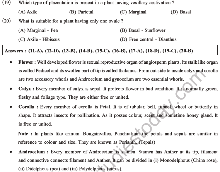 NEET Biology Morphology of Plants MCQs Set B-5