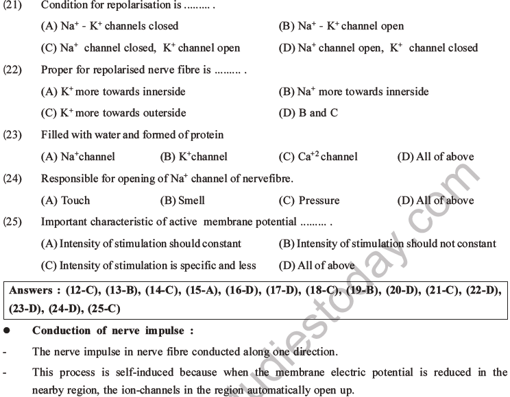 NEET Biology Morphology of Plants MCQs Set B-50