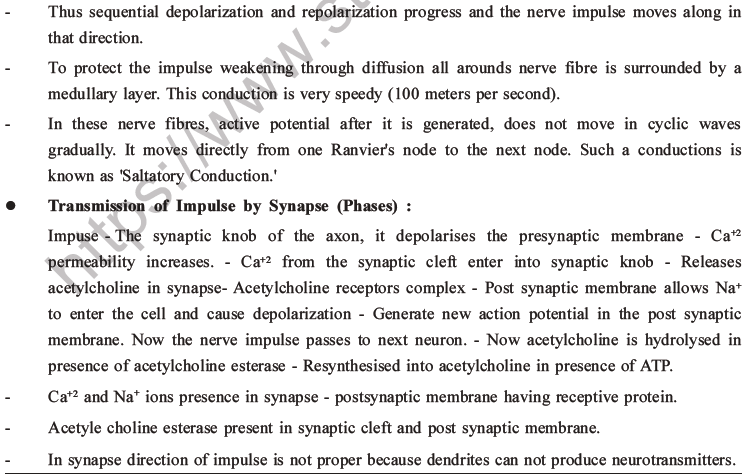 NEET Biology Morphology of Plants MCQs Set B-51