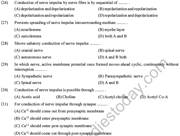 NEET Biology Morphology of Plants MCQs Set B-52