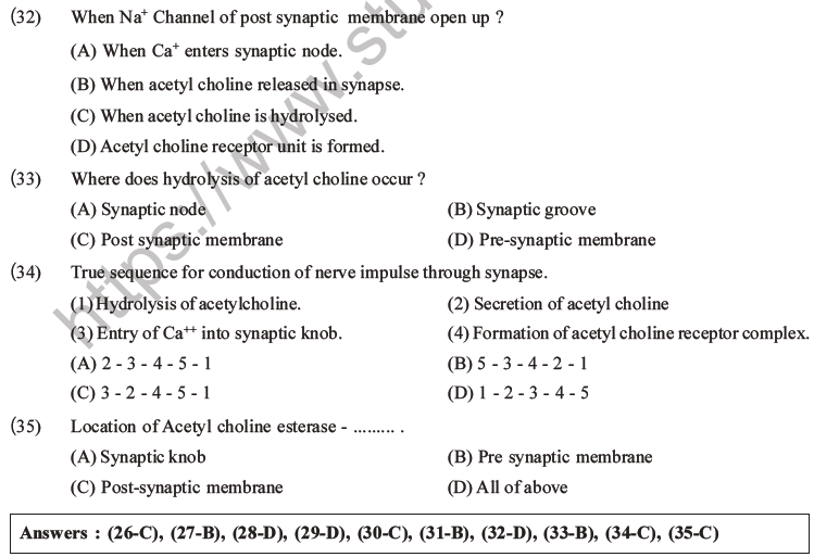 NEET Biology Morphology of Plants MCQs Set B-53