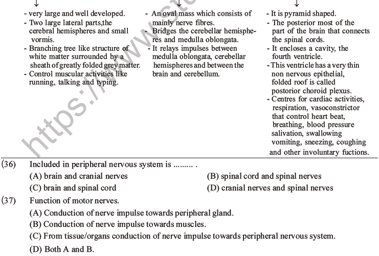 NEET Biology Morphology of Plants MCQs Set B-57