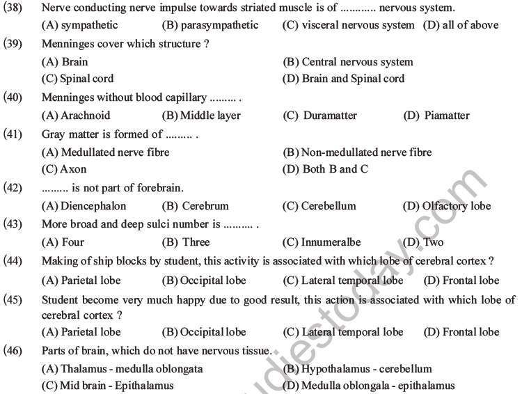 NEET Biology Morphology of Plants MCQs Set B-58