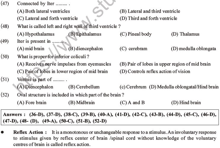 NEET Biology Morphology of Plants MCQs Set B-59