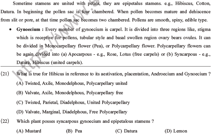 NEET Biology Morphology of Plants MCQs Set B-6