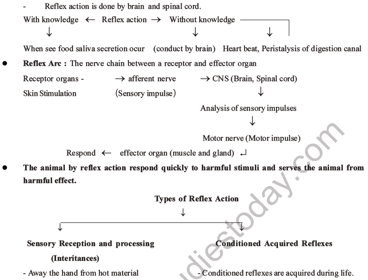 NEET Biology Morphology of Plants MCQs Set B-60